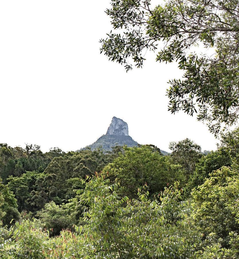 γυαλί σε θερμοκήπιο Βίλα Glass House Mountains Εξωτερικό φωτογραφία